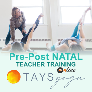 Pre-Post Natal Teacher Training